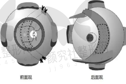 上海颜鉴医美的价格与询问