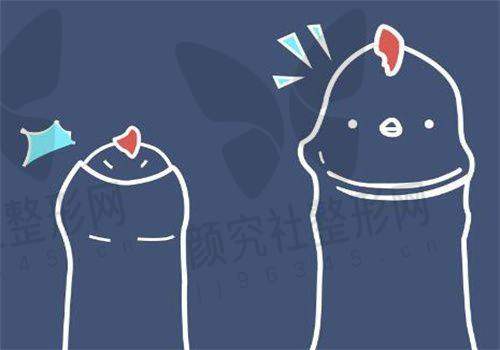 骨干医生团队