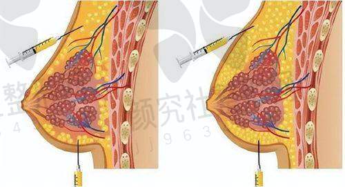 专精医生团队