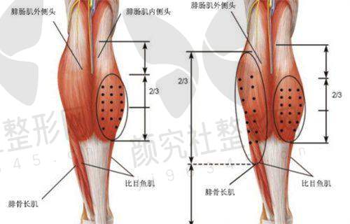 上海颜鉴医美的医生团队